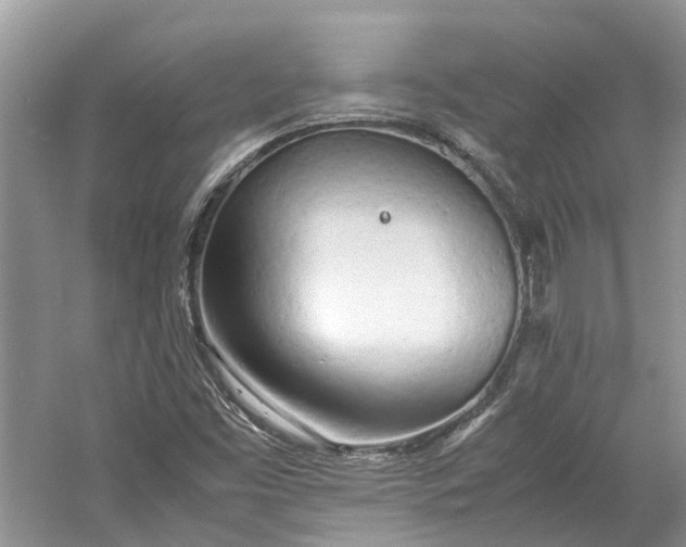 X0000060771453200512011559