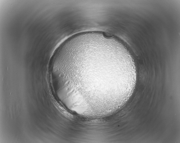 X0000060771460200512011559