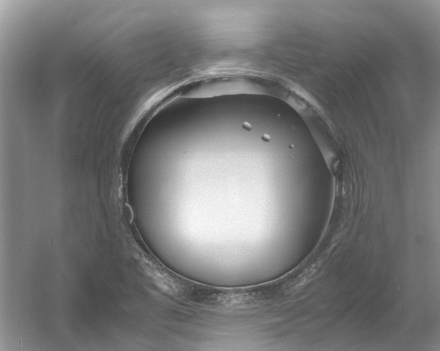 X0000060771461200512011559