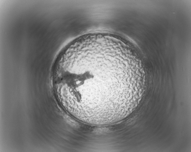 X0000060771462200512011559