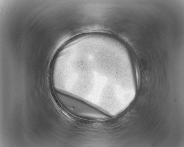 X0000060771463200512011559