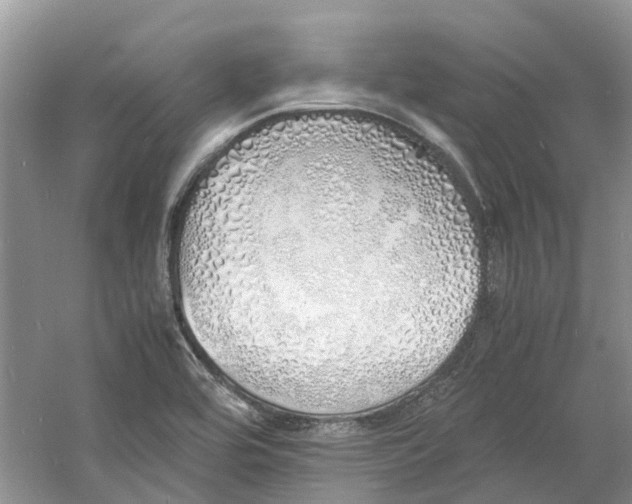 X0000060771464200512011559