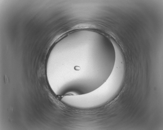 X0000060771465200512011558