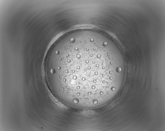 X0000060771466200512011558