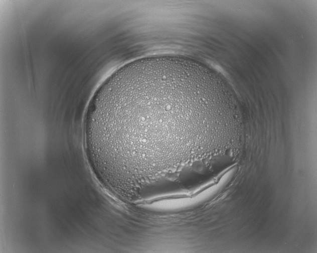 X0000060771467200512011558