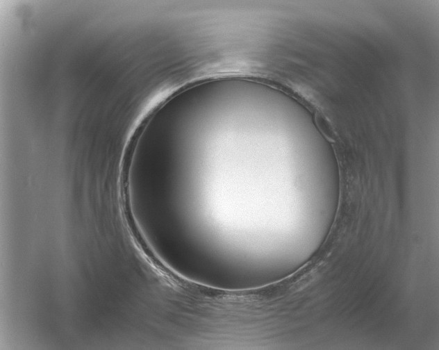 X0000060771469200512011558