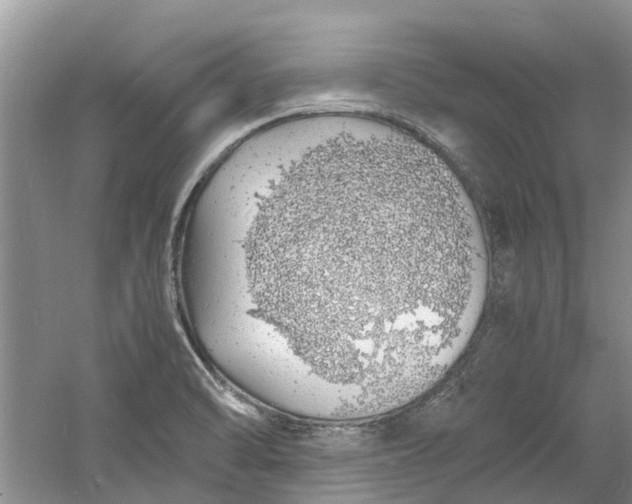 X0000060771470200512011558