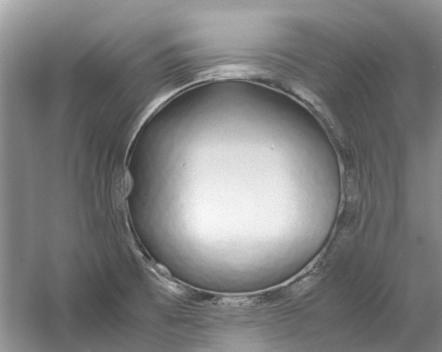 X0000060771473200512011558