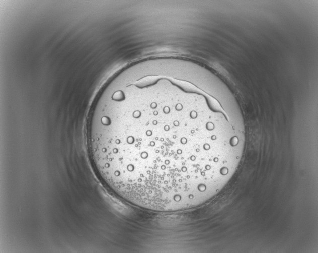 X0000060771474200512011558