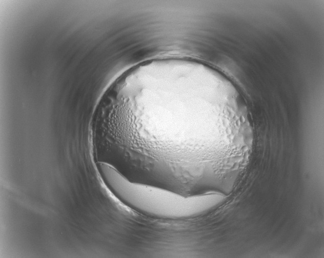 X0000060771476200512011558