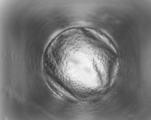 X0000060771477200512011558