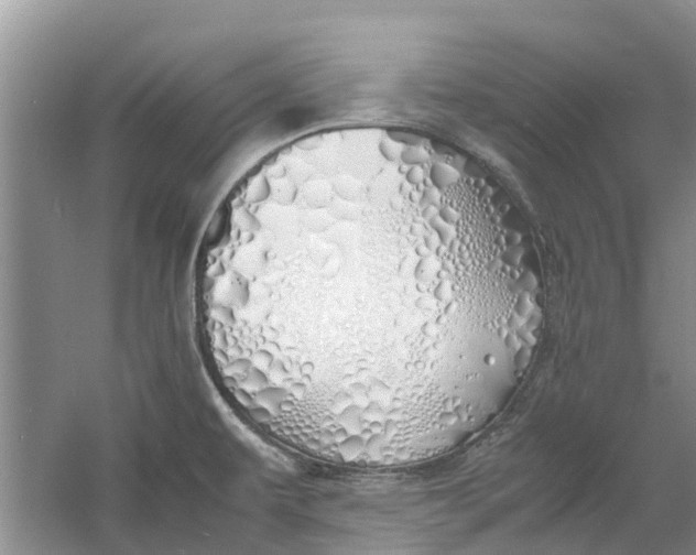 X0000060771479200512011558