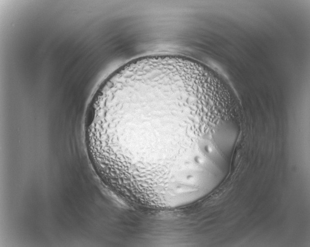 X0000060771480200512011558