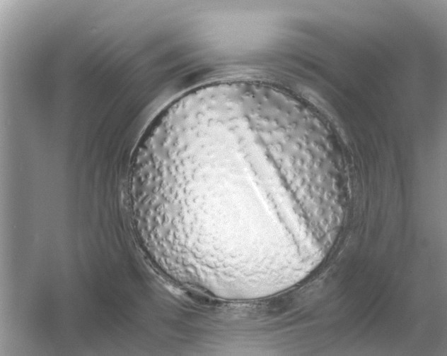 X0000060771481200512011558