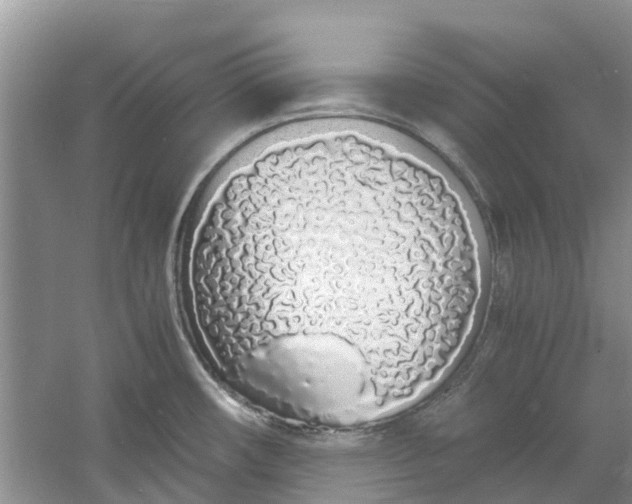 X0000060771482200512011558