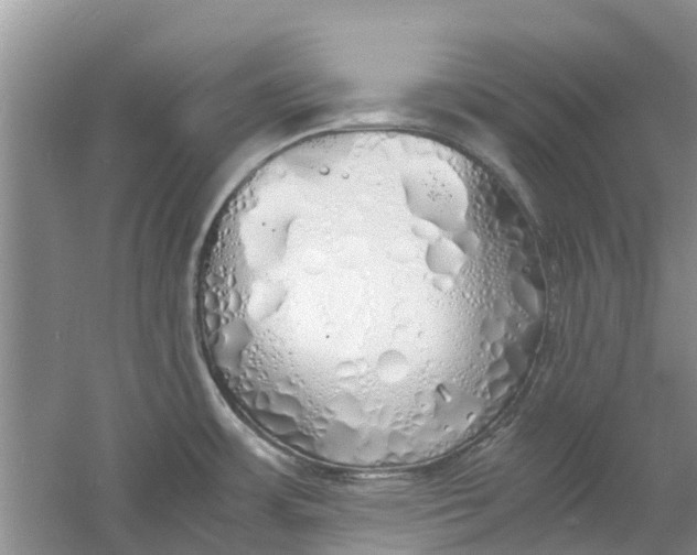 X0000060771483200512011558