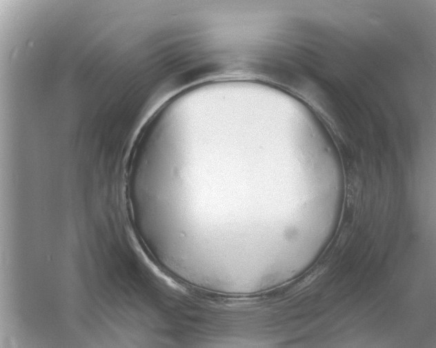 X0000060771484200512011558