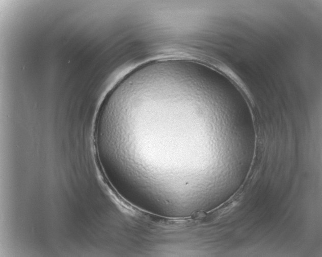 X0000060771485200512011558