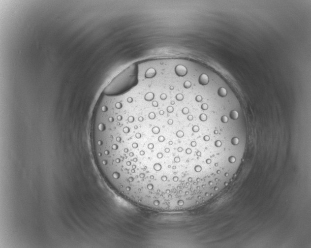 X0000060771486200512011558