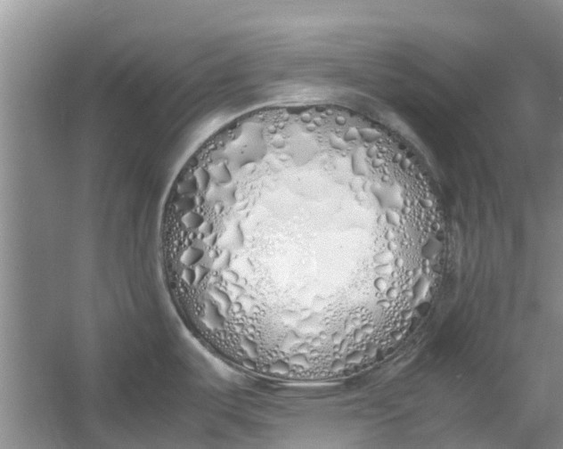 X0000060771487200512011558