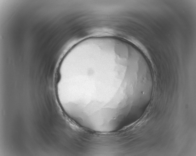 X0000060771488200512011558