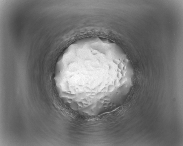 X0000060771489200512011557