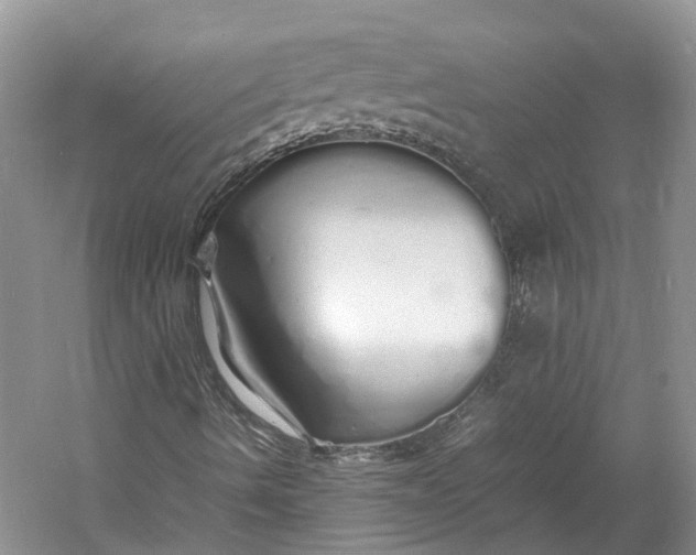 X0000060771490200512011557