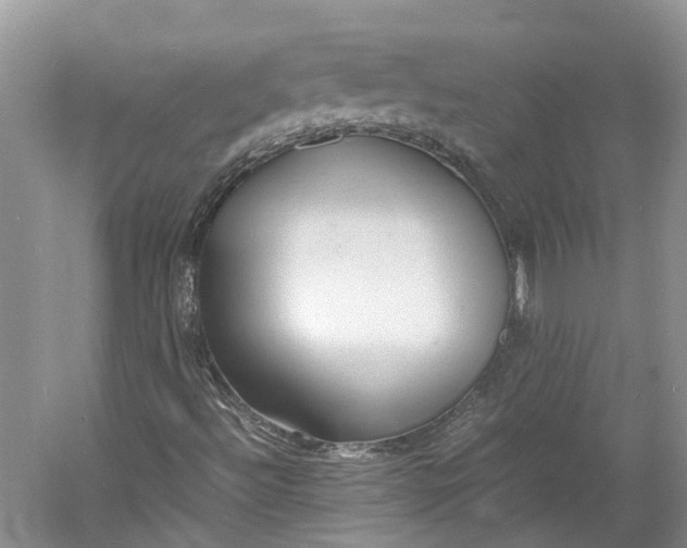 X0000060771492200512011557