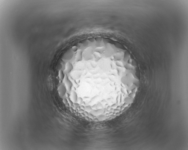 X0000060771493200512011557