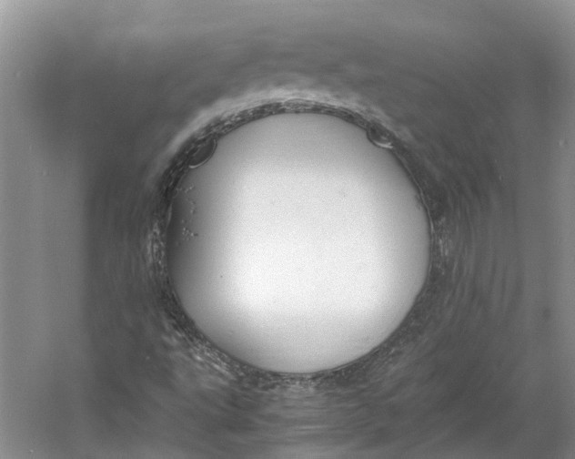 X0000060771495200512011557