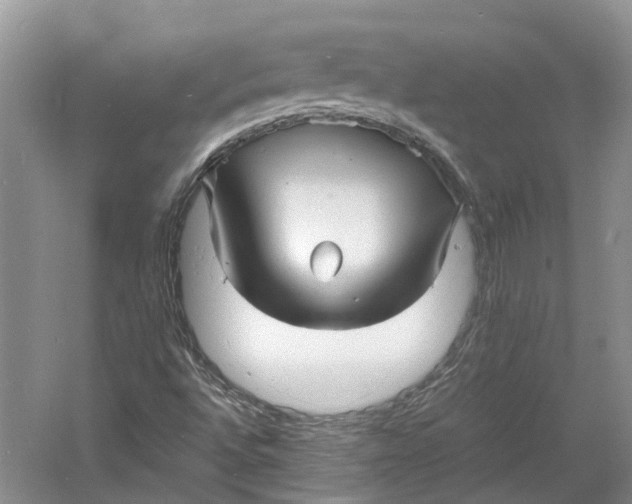 X0000060771496200512011557