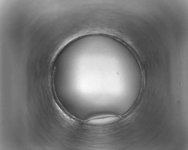 X0000060771500200512011557