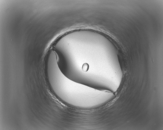 X0000060771502200512011557