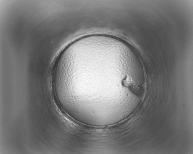 X0000060771504200512011558