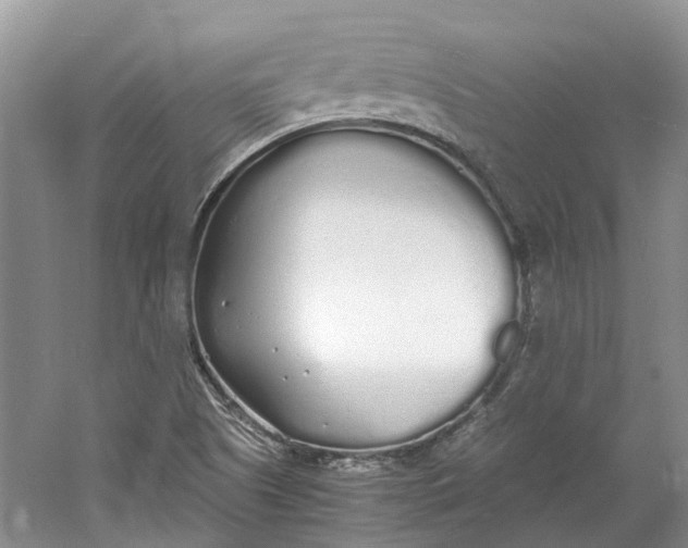 X0000060771505200512011558