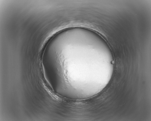 X0000060771507200512011558