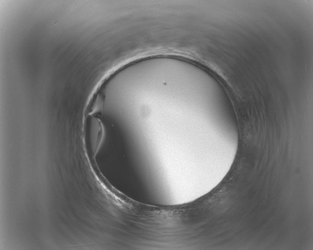 X0000060771508200512011558