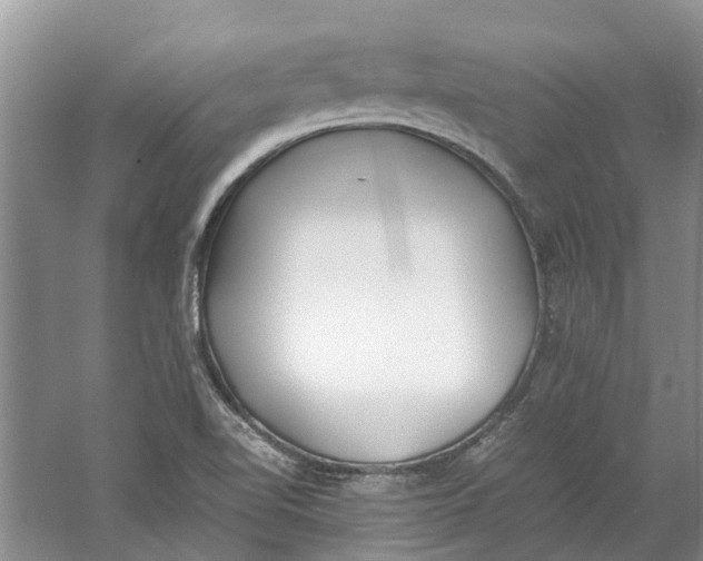 X0000060771510200512011558