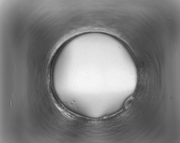 X0000060771511200512011558