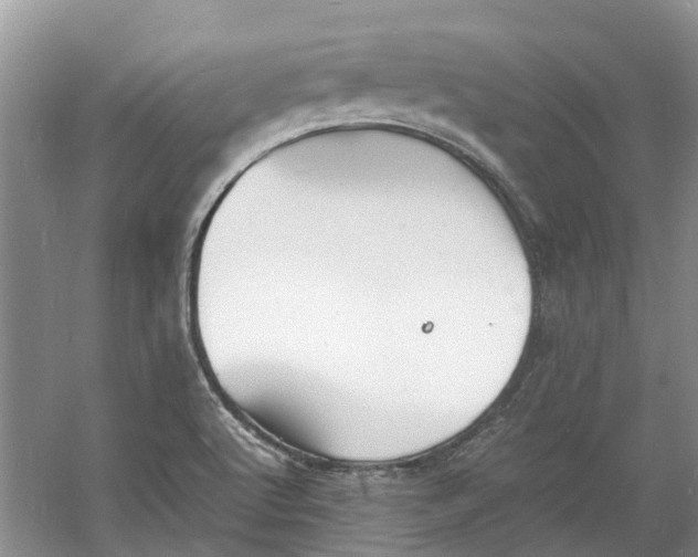 X0000060771512200512011558