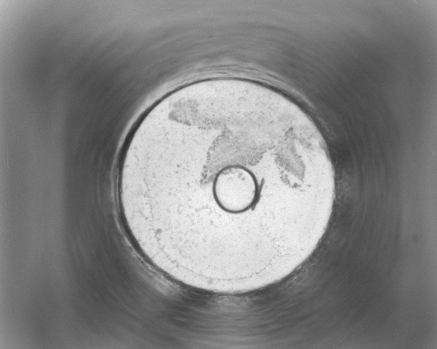 X0000060771514200512011558