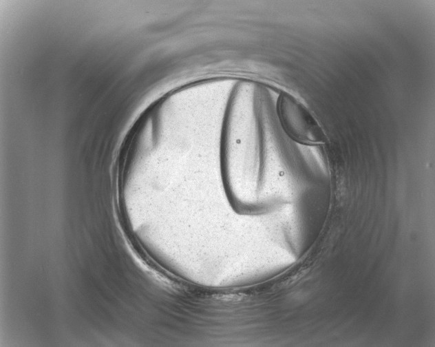 X0000060771515200512011558