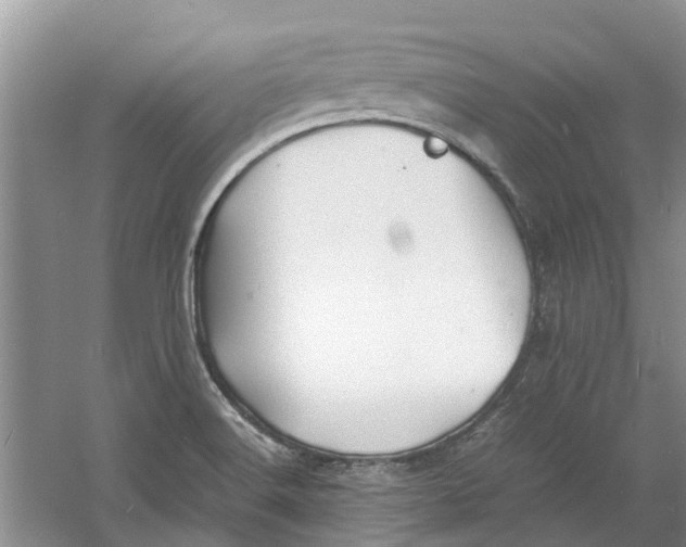 X0000060771516200512011558