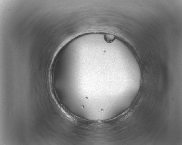 X0000060771517200512011558