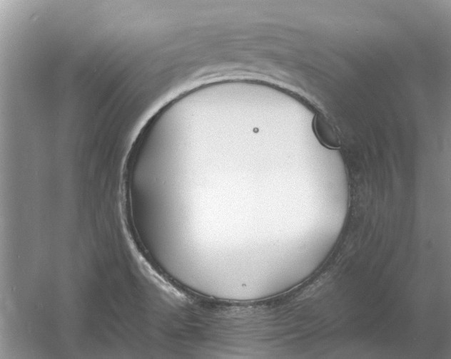 X0000060771518200512011558