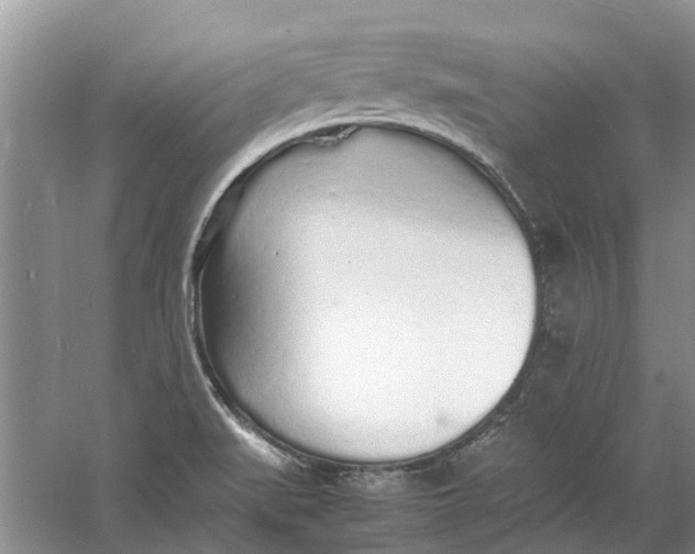 X0000060771519200512011558