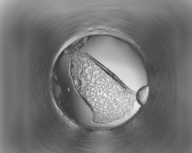 X0000060771522200512011558