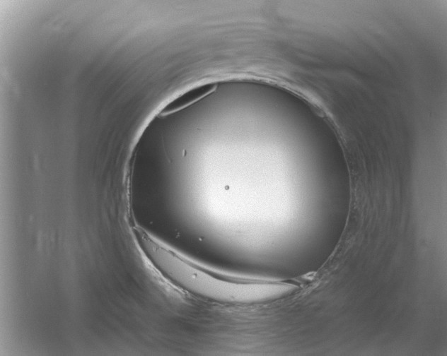 X0000060771524200512011558