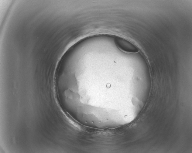 X0000060771525200512011558