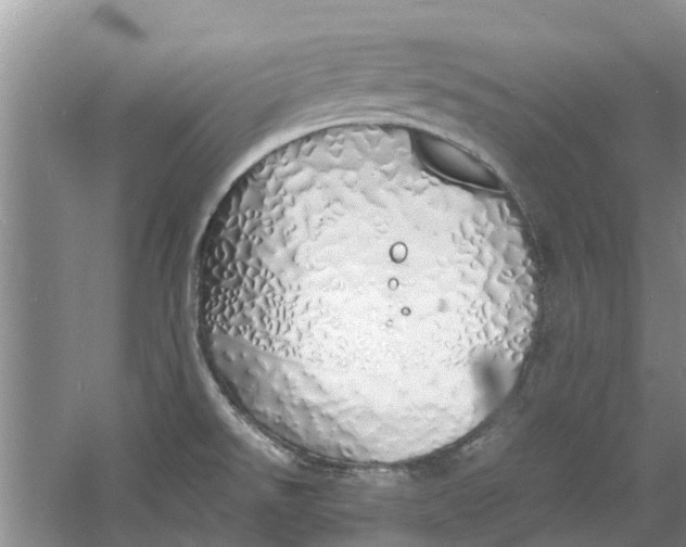 X0000060771526200512011558